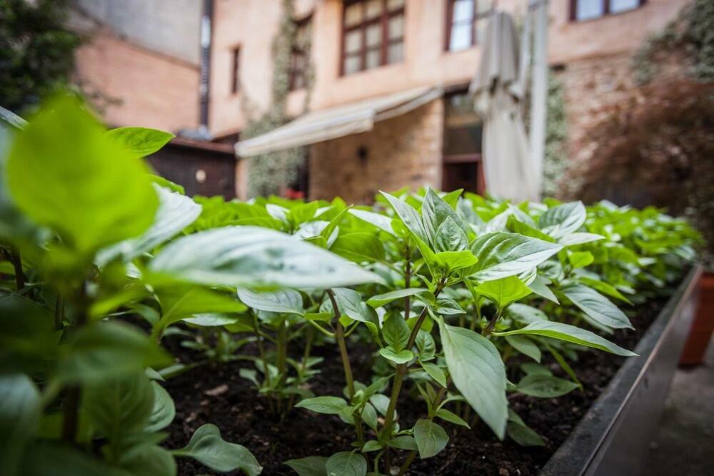 Boutique Hotel Palea Poli Naousa  ภายนอก รูปภาพ
